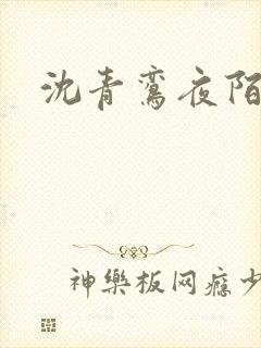 沈青鸾夜陌凌