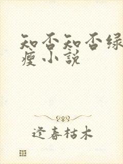 知否知否绿肥红瘦小说
