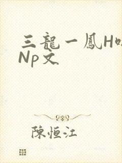三龙一凤H啪肉Np文