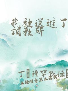 我被送进了私奴调教所