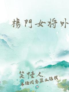 杨门女将外传