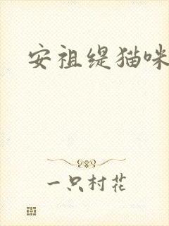 安祖缇猫咪抱抱