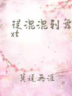 从混混到舞王txt