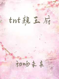 tnt亲王府