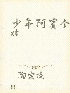 少年阿宾全集txt