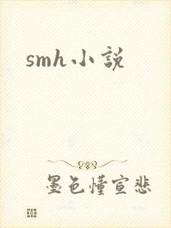 smh小说