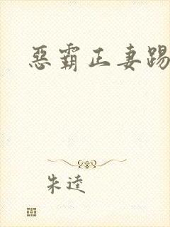 恶霸正妻踢娇妾
