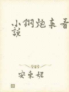 小钢炮来看我小说