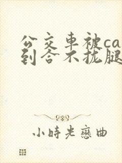 公交车被cao到合不拢腿视频