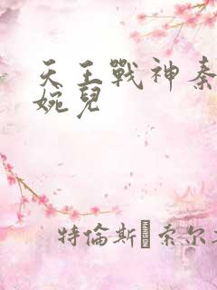 天王战神秦武林婉儿