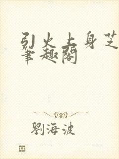 引火上身芝麻糖笔趣阁