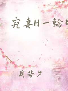 宠妻H一轮明月