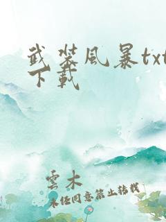 武装风暴txt下载