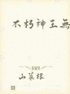 不朽神王无弹窗