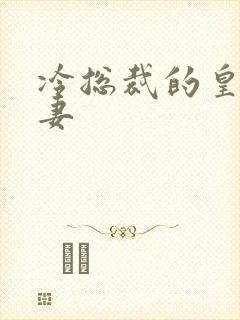 冷总裁的皇后暖妻