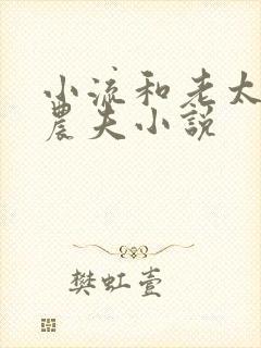 小流和老太69农夫小说