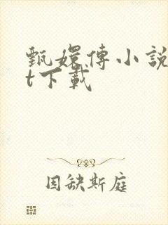 甄嬛传小说txt下载