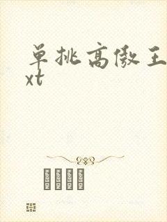 单挑高傲王子txt