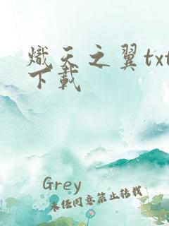 炽天之翼txt下载
