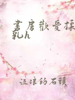 书房欢爱揉捏娇乳h