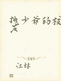 拽少爷的校花女友