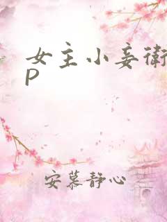 女主小妾卫府NP