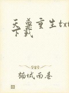 天尊重生txt下载