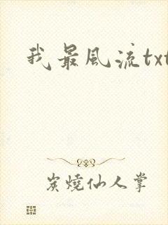 我最风流txt