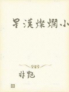 星汉灿烂小说
