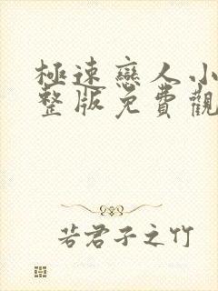 极速恋人小说完整版免费观看