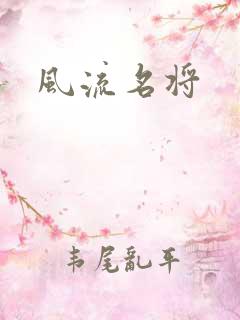 风流名将
