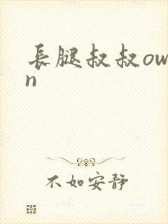 长腿叔叔owen