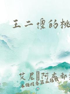 王二傻的桃花运