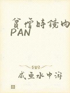 贫僧时镜肉补全PAN