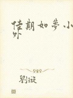 佳期如梦小说番外