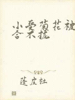 小受菊花被双龙合不拢