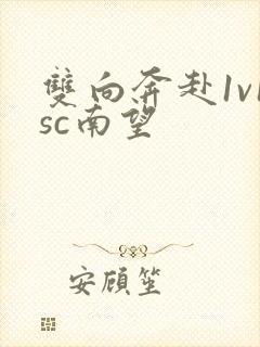 双向奔赴1v1sc南望
