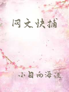 网文快捕