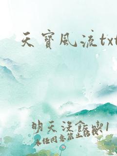 天宝风流txt