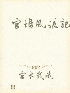 官场风流记