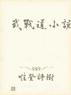 武战道小说