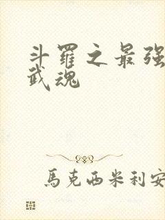 斗罗之最强治疗武魂