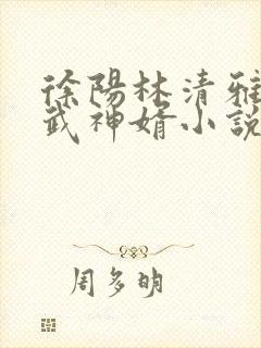 徐阳林清雅绝世武神婿小说