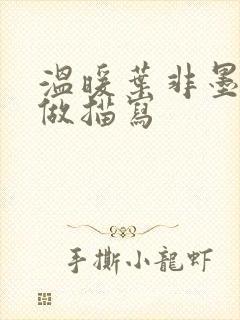 温暖叶非墨车内做描写