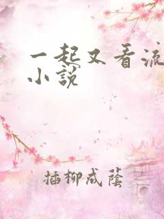 一起又看流星雨小说