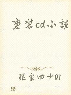 变装cd小说