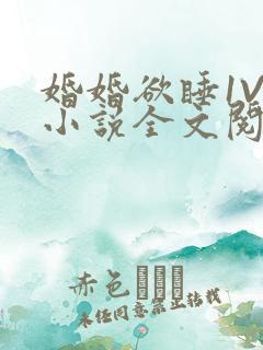 婚婚欲睡1V1小说全文阅读