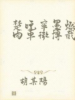 楚晚宁墨燃所有肉车微博截图