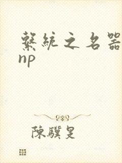 系统之名器攻略np