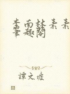 李南林素素小说笔趣阁